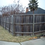Fence Before Fence Before